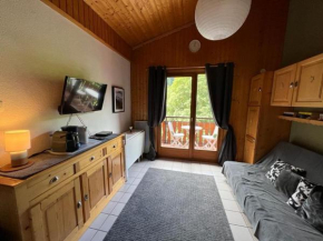 Studio Cozy au pied des pistes de Morzine !